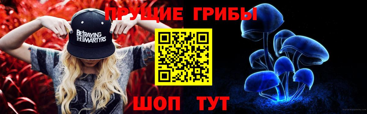 Миллерово  Галлюциногенные грибы Magic Shrooms  где продают   Вход с VPN 
